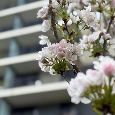 Japandi Studio Apartment, Free Parking بودابست المظهر الخارجي الصورة